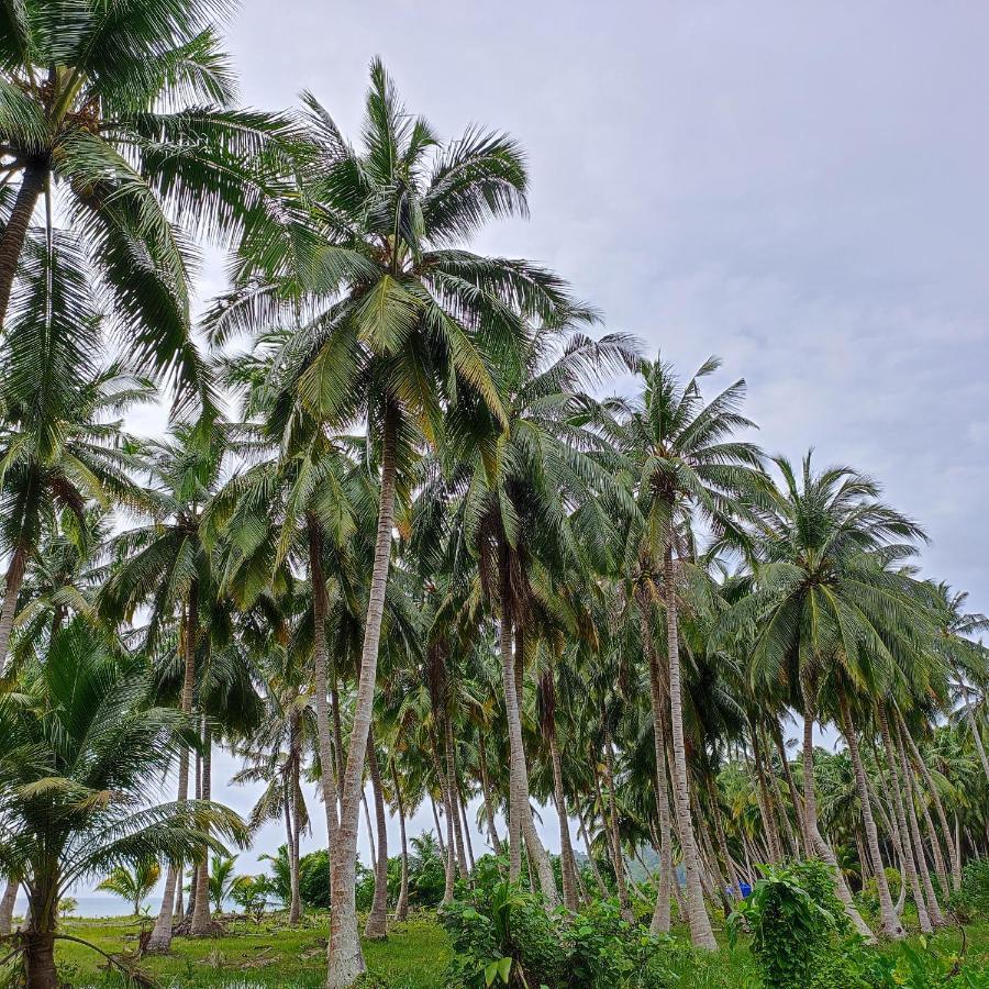 Honey Moon Beach Resort ANDAMAN AND NICOBAR ISLANDS 외부 사진